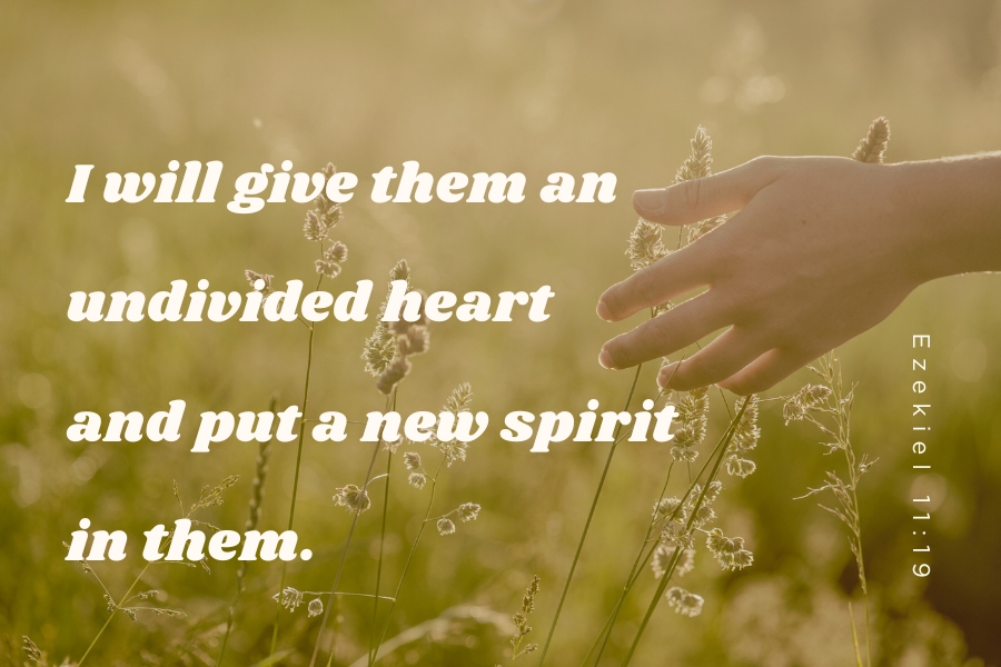 Ezekiel 11:19