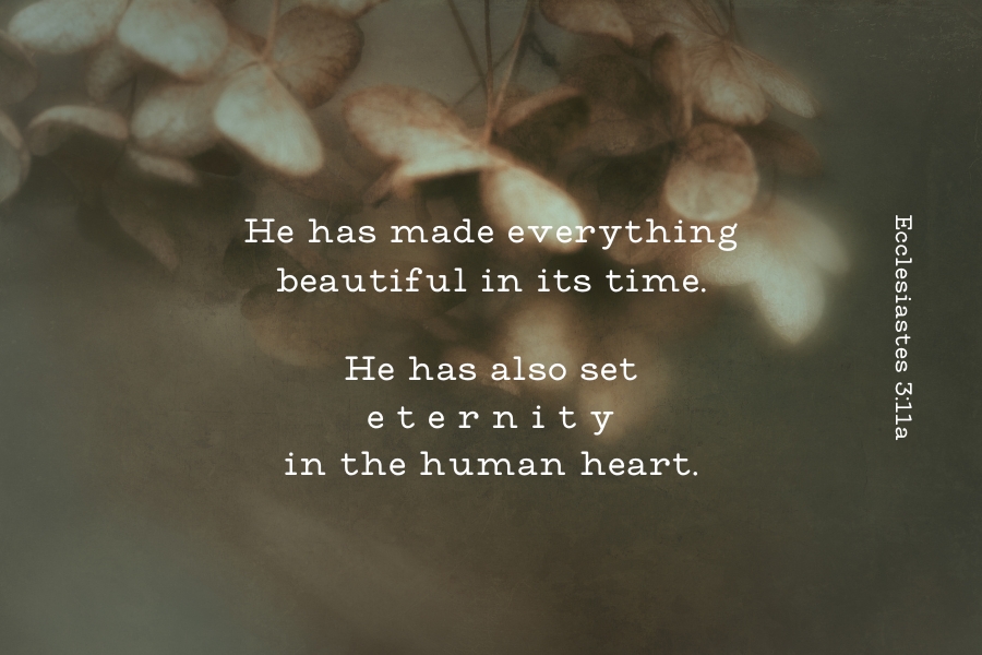 Ecclesiastes 3:11a